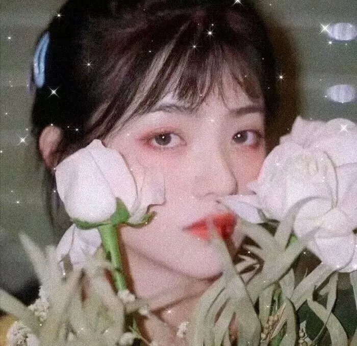 妮娜的一切
